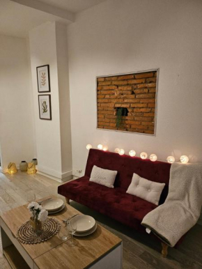 Studio Brique Rose Toulousaine